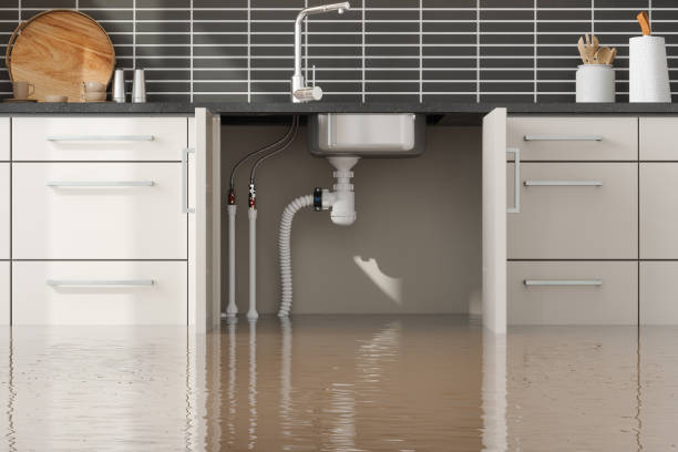 Best Local water damage restoration  in Atchison, KS