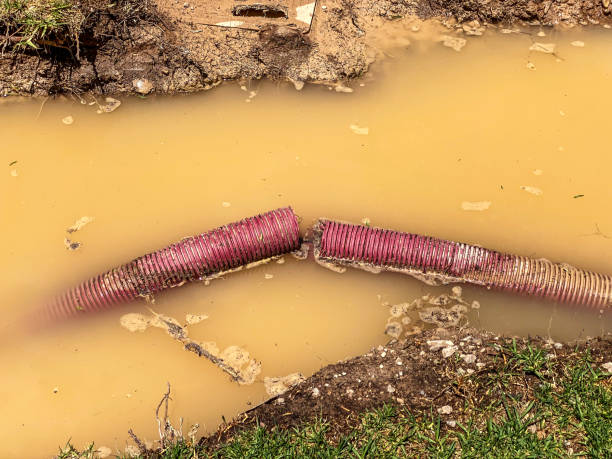 Best Flood restoration services  in Atchison, KS