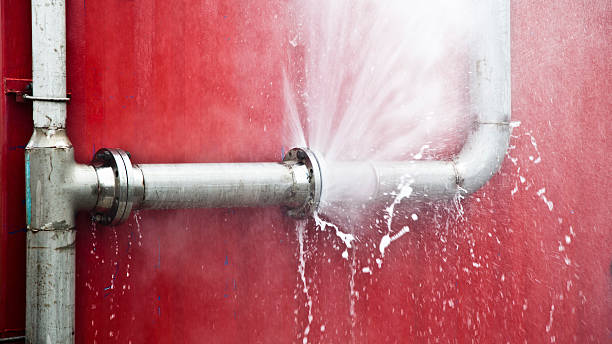 Best Mold removal after water damage  in Atchison, KS